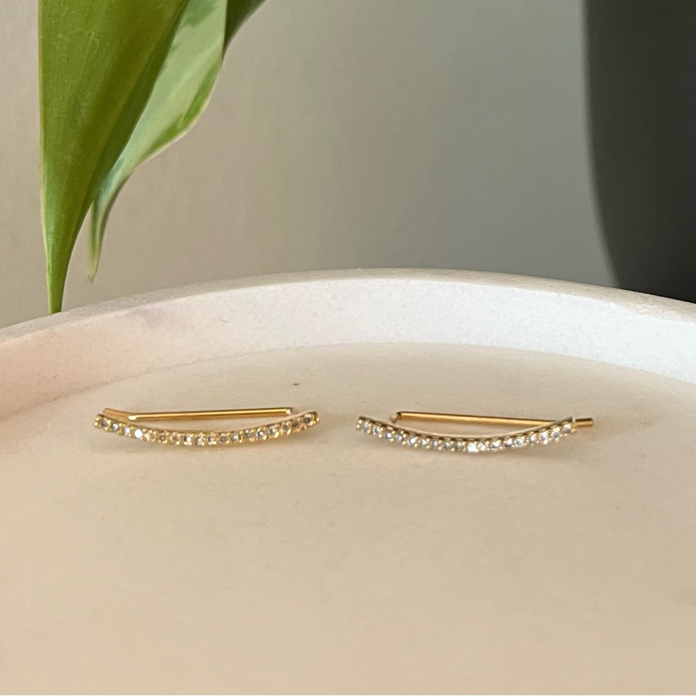 Anthropologie Earrings